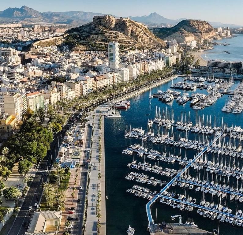 eine Luftaufnahme eines Hafens voller Boote in der Unterkunft costablanca rooms in Alicante