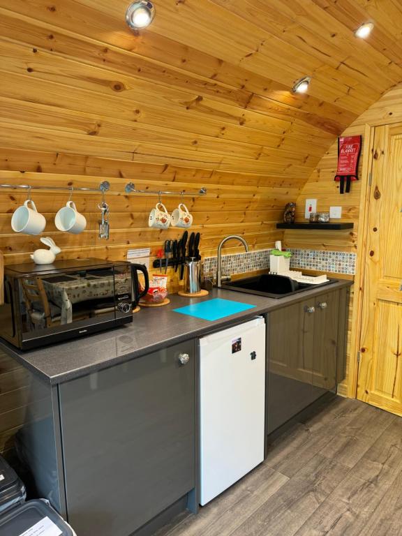 Kuchyň nebo kuchyňský kout v ubytování Loch Ness Woodland Pods