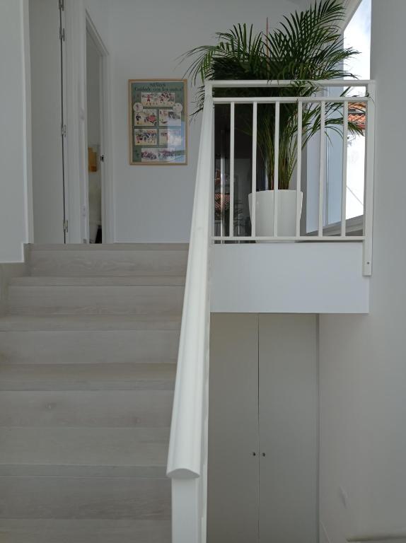 LAR JARDÍN - Casas con parking privado - 12