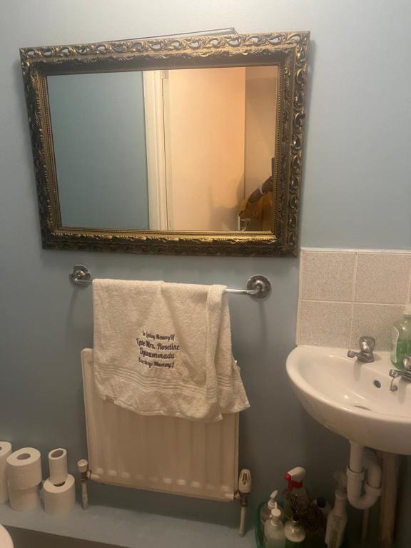 a bathroom with a mirror and a sink and a towel at Double Alpha in Forest Hill