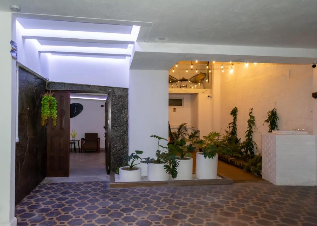 Gallery image of Comfortable and Beautiful Room 5 minutes from Tikal Futura H3 in Guatemala