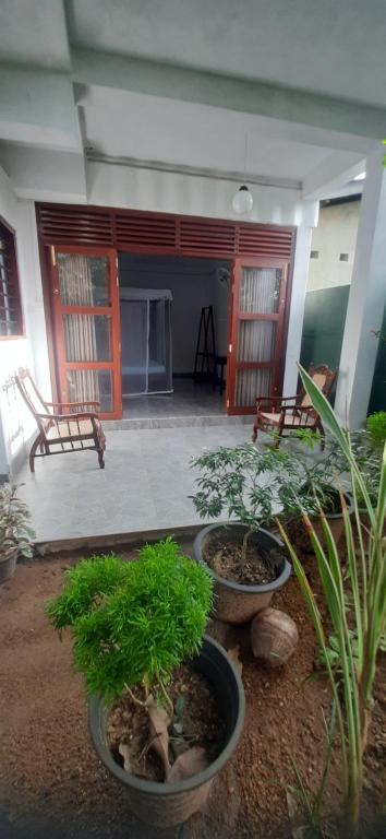 a group of potted plants in front of a house at Eleven Thalalla in Talalla South