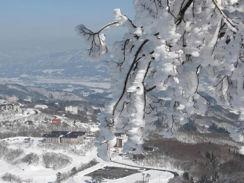 Yamadasan Ski Lodge - Madarao v zimě