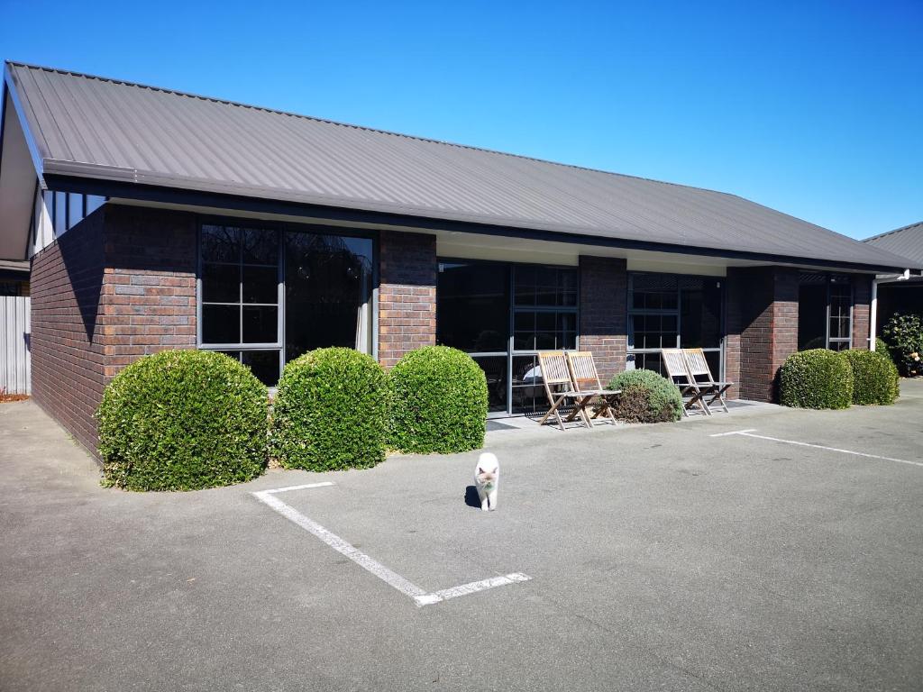 
Family Room - Disability Access
