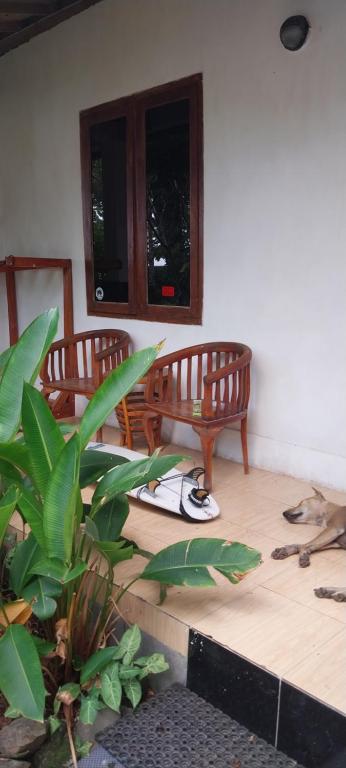 Kambuna Bungalow - Mixed Dormitory Room