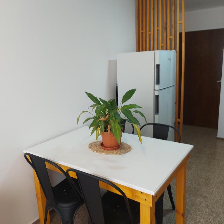 ein Tisch mit einer Topfpflanze darauf und einem Kühlschrank in der Unterkunft Microcentro de la Docta in Cordoba