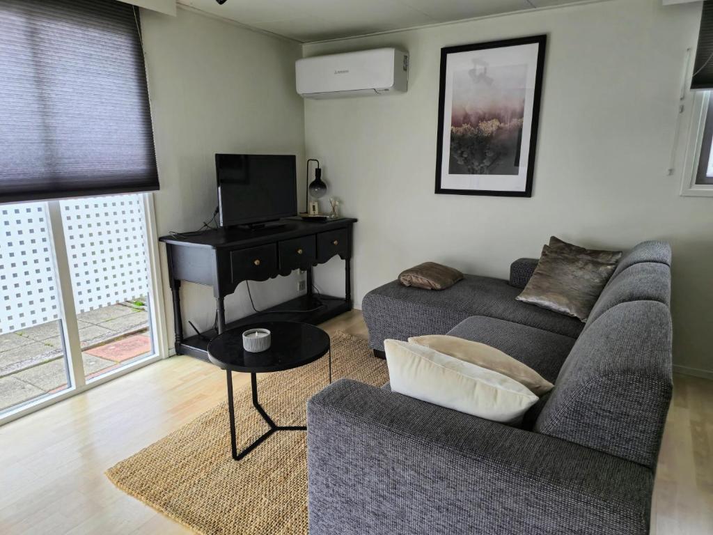 TV a/nebo společenská místnost v ubytování Chalet V31
