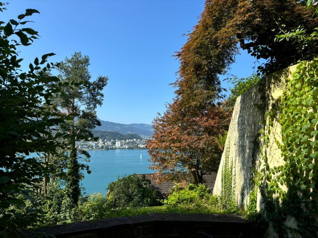 Luzern See - Resim 11