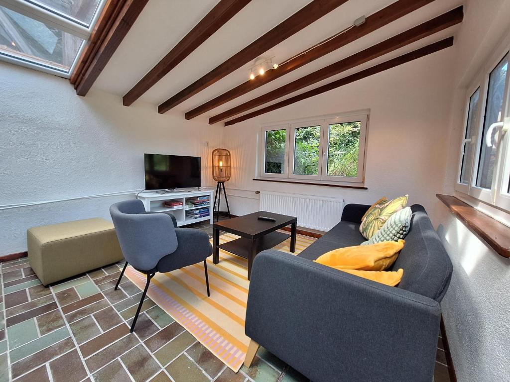 Μια τηλεόραση ή/και κέντρο ψυχαγωγίας στο Chalet Ritz