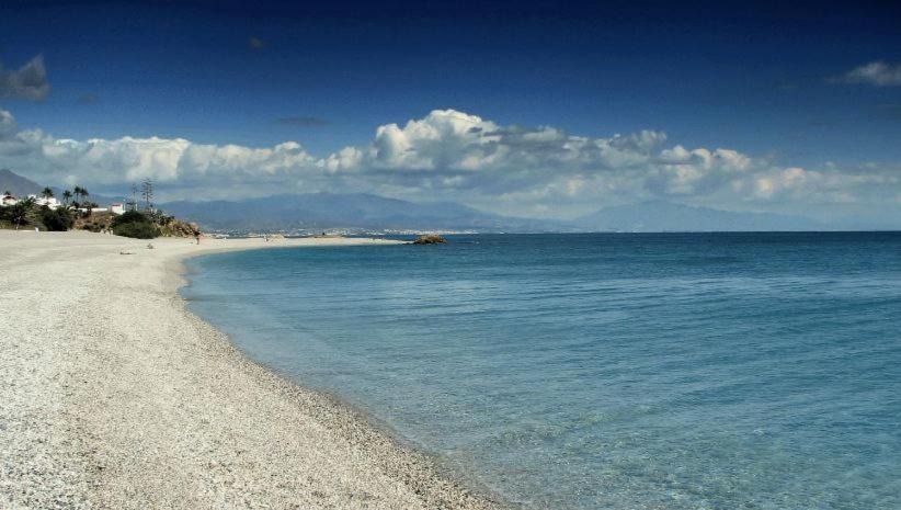 アパートメントの近くで見られる自然の景観