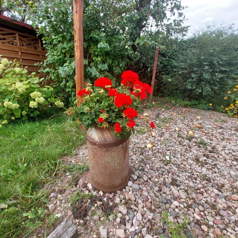 Vonkajšia záhrada v ubytovaní Mazury Home