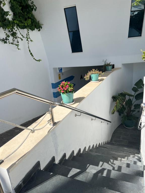 Fotografie z fotogalerie ubytování Ancla Real Apartamentos Loft v destinaci El Puerto de Santa María