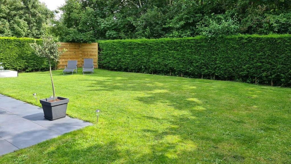 Zahrada ubytování Hello Zeeland - Vakantiehuis Zeester 86