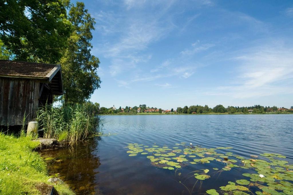 Příroda nedaleko hotelu