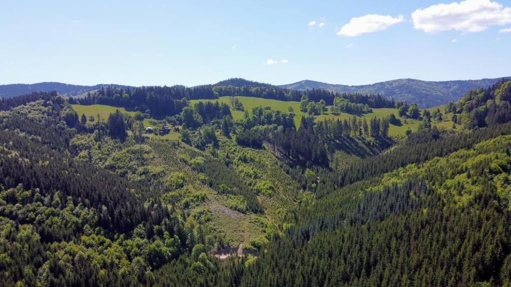 Príroda v okolí horskej chaty
