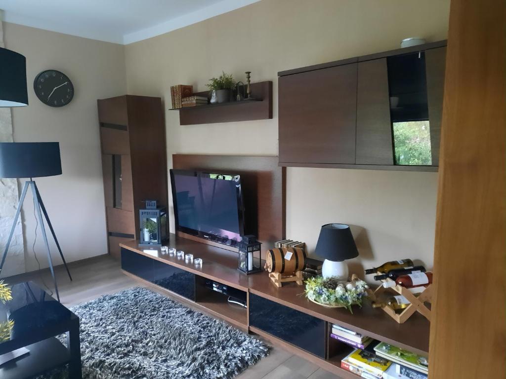 Televízia a/alebo spoločenská miestnosť v ubytovaní Dom Salamandra z panoramą gór