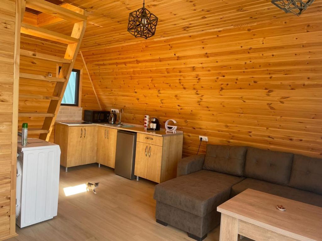 a living room with a couch and a kitchen in a log cabin at Demetra in Buknari