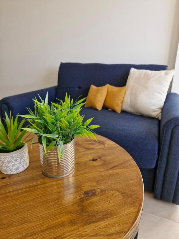 サンフアンにあるDepto Alem y Central RFのテーブルの上に2つの鉢植えが置かれた青いソファ