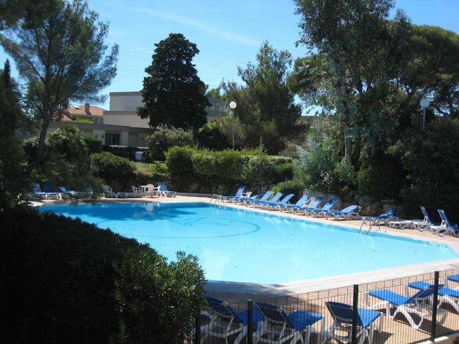 une grande piscine avec des chaises bleues et des chaises de jardin dans l'établissement La Passiflore, à Saint-Raphaël