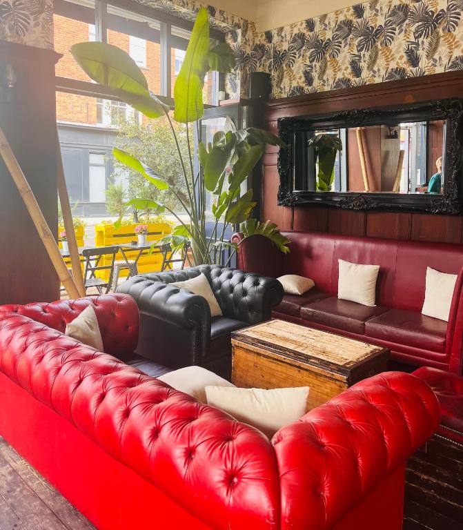 The Captain Cook - Resim 21