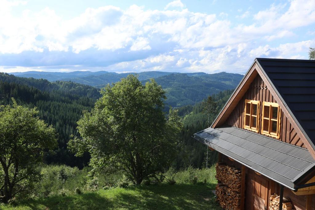 Príroda v okolí horskej chaty