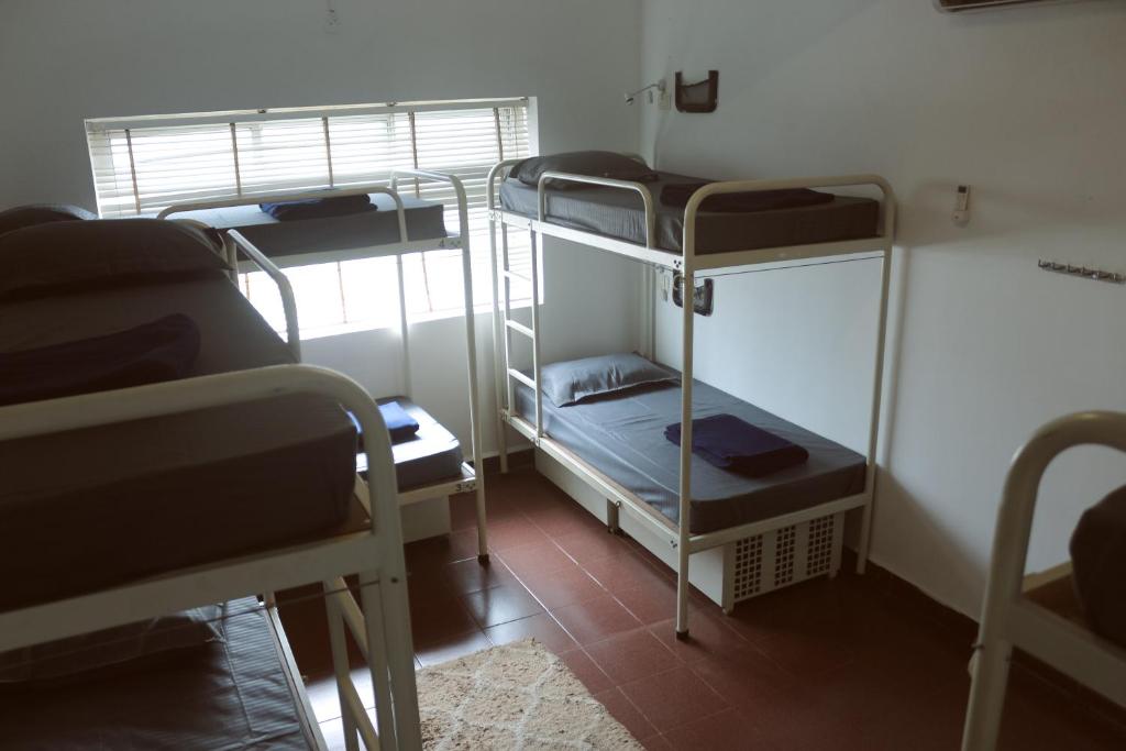 Palanda nebo palandy na pokoji v ubytování Summer Hostel
