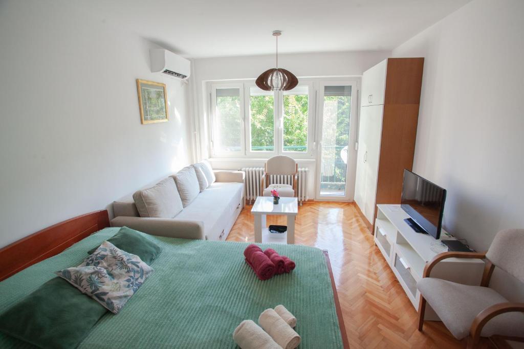 a living room with a couch and a tv at Apartment Lea in Belgrade