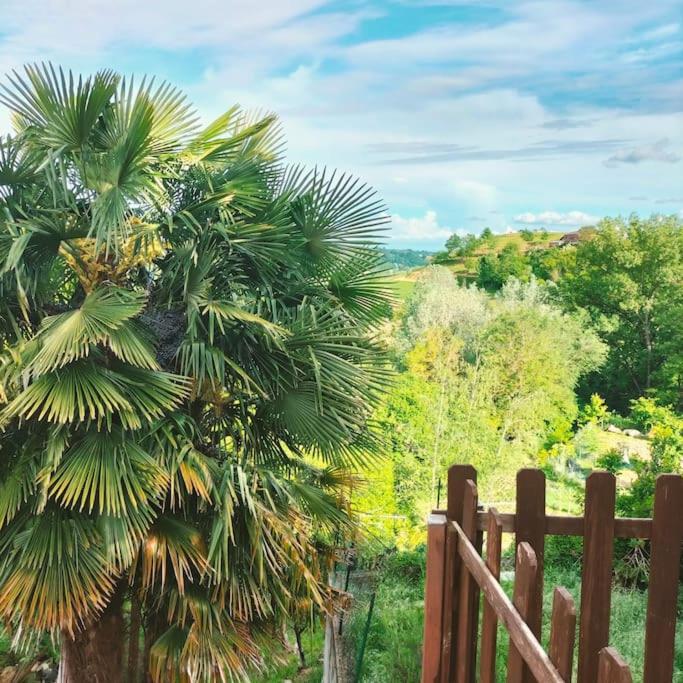 Příroda nedaleko apartmánu