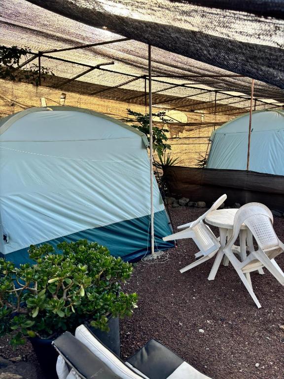 Fotografie z fotogalerie ubytování Camping Invernaderito v destinaci Tejina