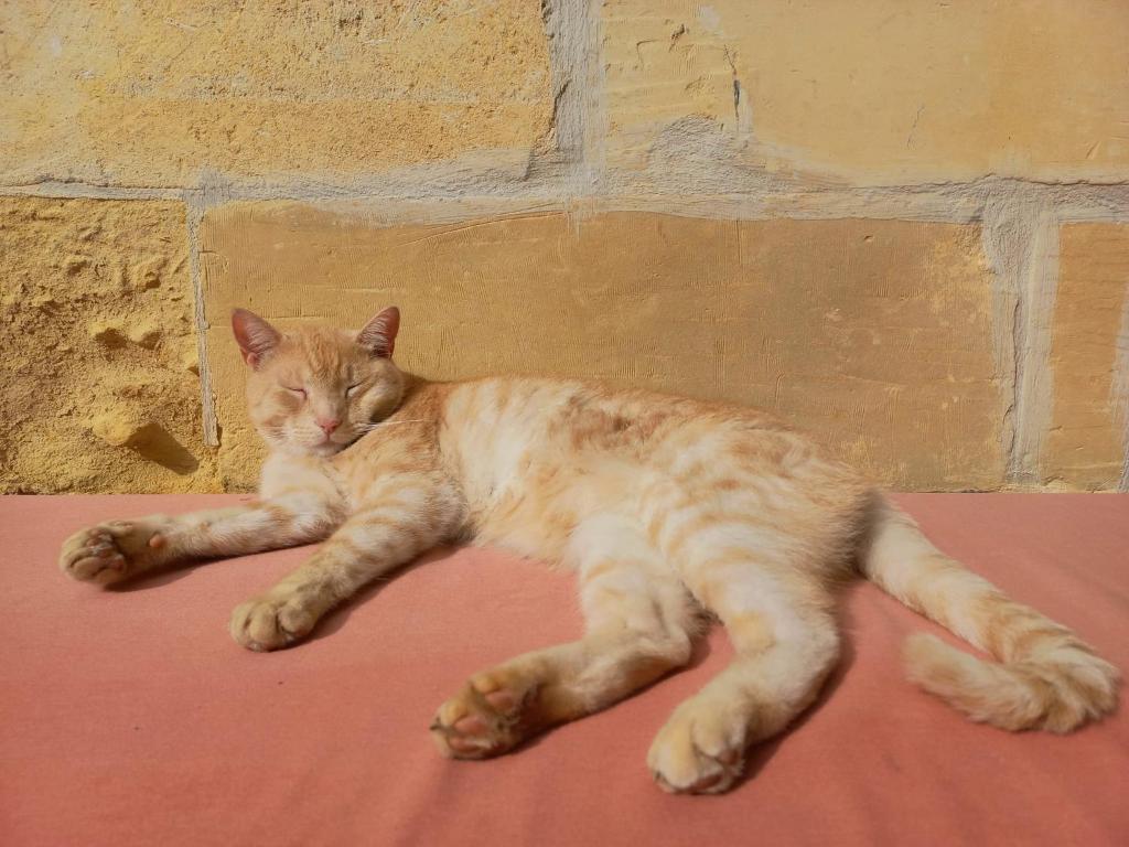 Laremi Gozo B&B - 17