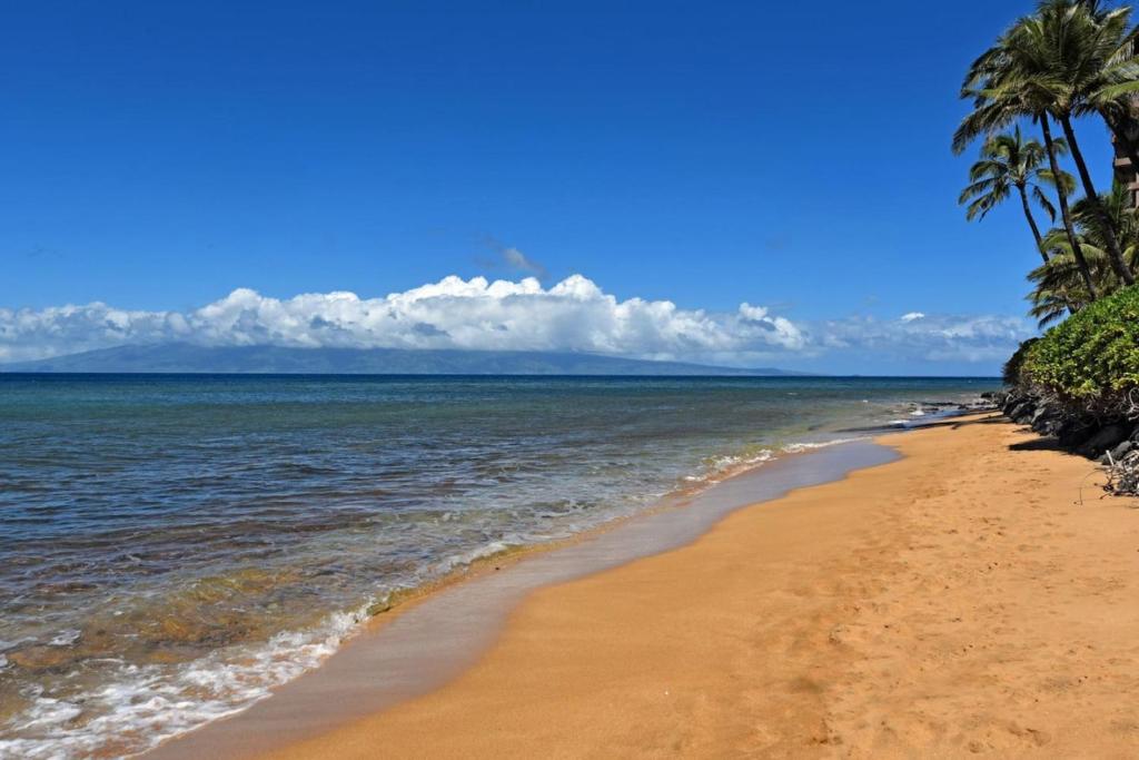 una playa con palmeras y el océano en Mahana 813, en Kahana