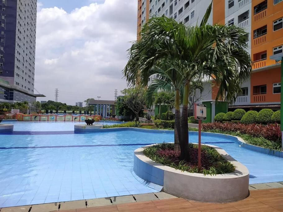 雅加达2BR Apt Green Pramuka with Pool & Wi-Fi by 2ndHome的一座大型游泳池,旁边是棕榈树