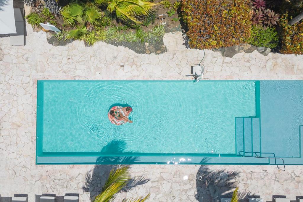 Bazén v ubytování Dolphin Suites & Wellness Curacao nebo v jeho okolí
