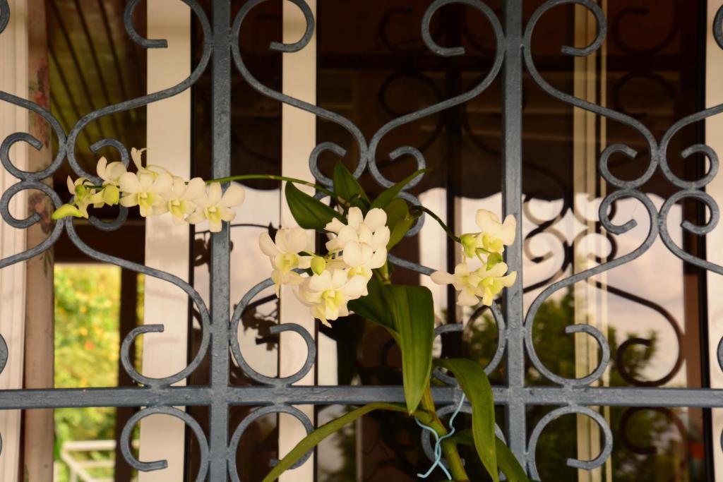Fotografie z fotogalerie ubytování Villa Campêche v destinaci Les Trois-Îlets