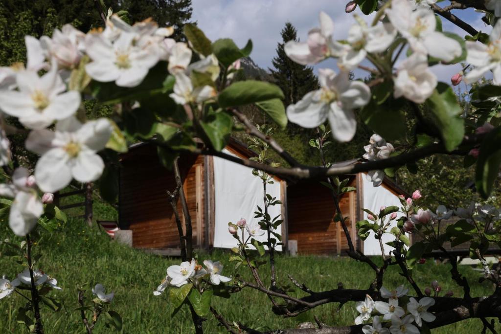 Zahrada ubytování Mountain view Glamping
