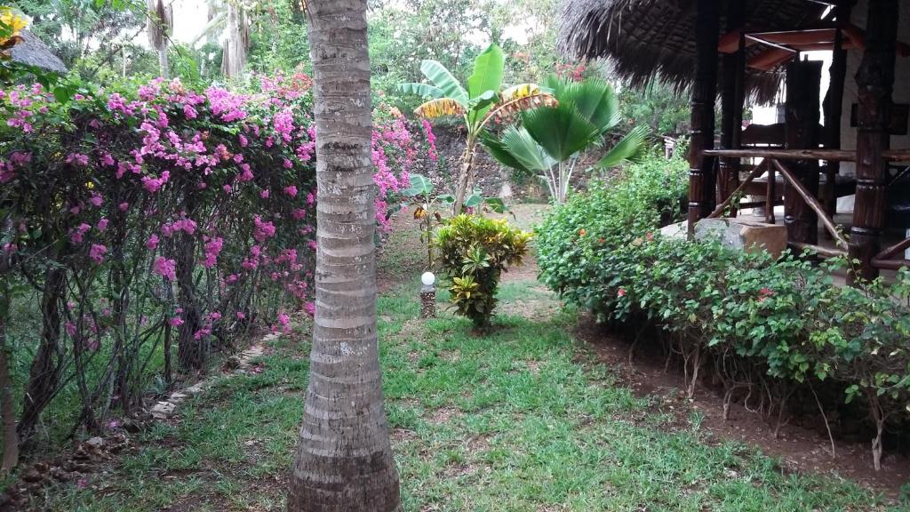 Zahrada ubytování Villa Fortuna Malindi