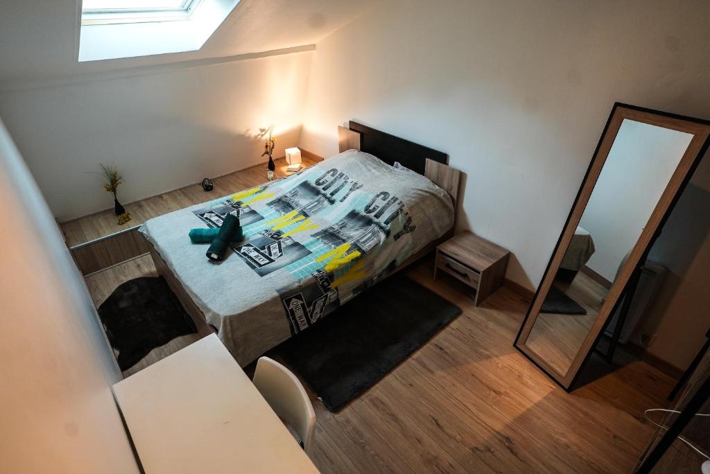 une chambre avec un grand lit et un miroir dans l'établissement La place Flore Gare et wifi, à Besançon