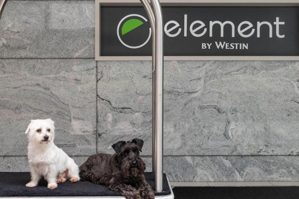 Element Melbourne Richmond - Resim 20