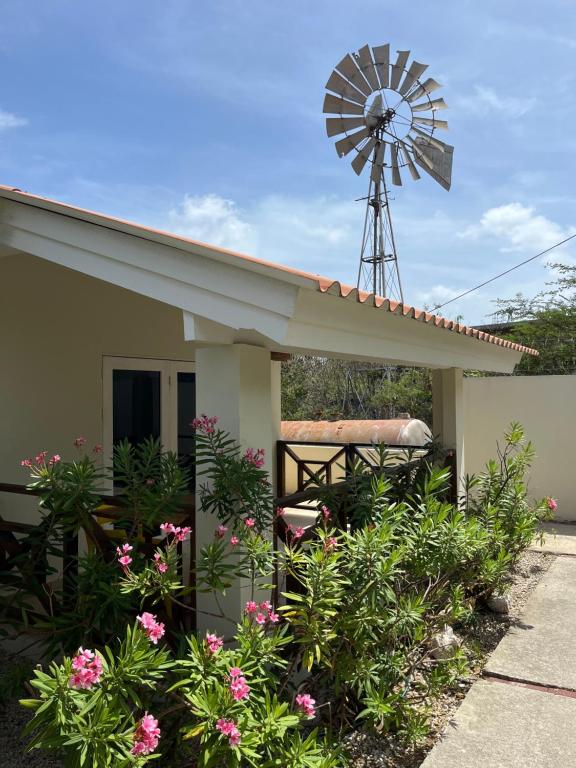 Zahrada ubytování Casa Dushi Bida