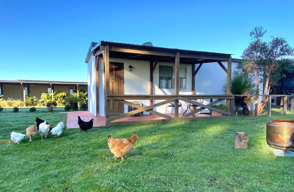 Κήπος έξω από το DONN4254C - Wilga Farm Stay - Cockatoo Cottage