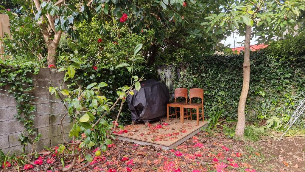 Wonderland - Resim 12