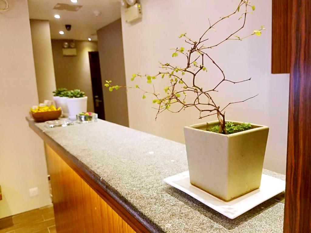 Foto Honkongis asuva majutusasutuse 香港金門賓館 KamMun Guest House galeriist