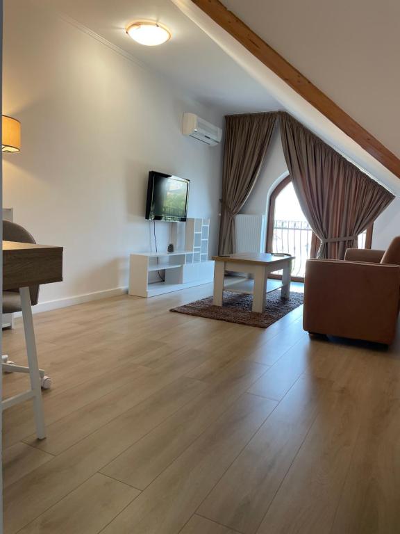 a living room with a couch and a tv at Apartment in the Villa Northern Dreams #3 PARKING INCLUDED IN PRICE in Timişoara