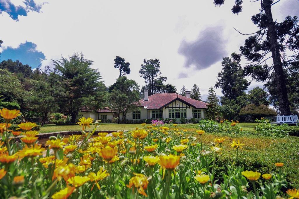 a field of flowers in front of a house at Craigbank Nuwaraeliya in Nuwara Eliya