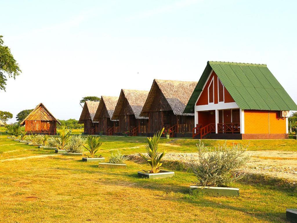 a row of cottages in a field with plants at Bestlife Eco Resort Mattala Airport in Maththala