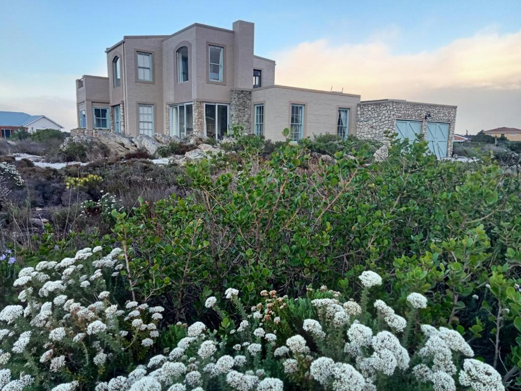 a house on a hill with flowers in front of it at KLIPWERF Bettys Bay in Bettyʼs Bay