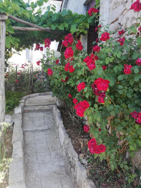 Fotografia z galérie ubytovania Relax house villagge Obrš,Riviera Opatija v Moščeničke Dragej