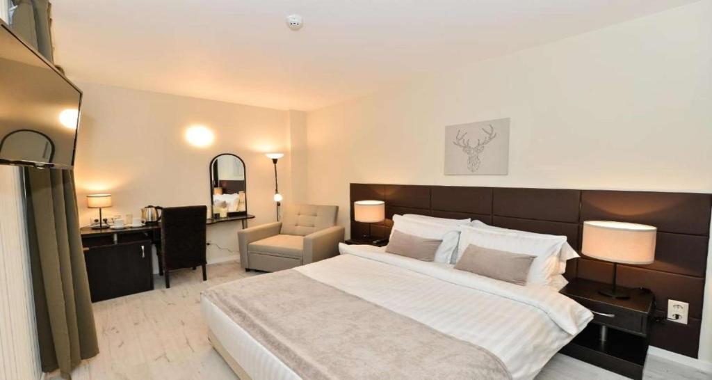 a large bedroom with a large bed and a chair at Art Plaza Hotel in Sofia