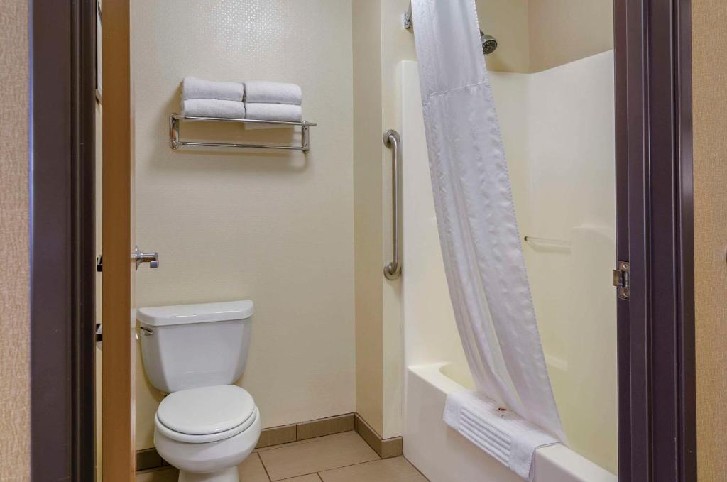 Koupelna v ubytování Comfort Inn Bozeman near University