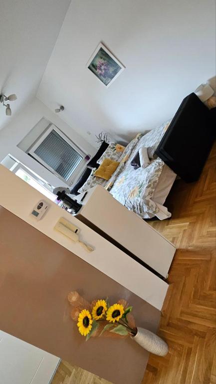 Fotografie z fotogalerie ubytování Sova v destinaci Vršac